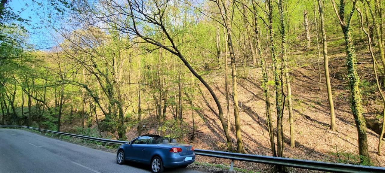 Hos-Cegledi Vendeghaz Miskolc -Oenallo Otthon, Mely Csak Az Oenoeke Esterno foto