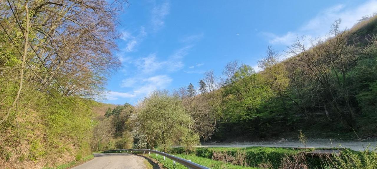 Hos-Cegledi Vendeghaz Miskolc -Oenallo Otthon, Mely Csak Az Oenoeke Esterno foto