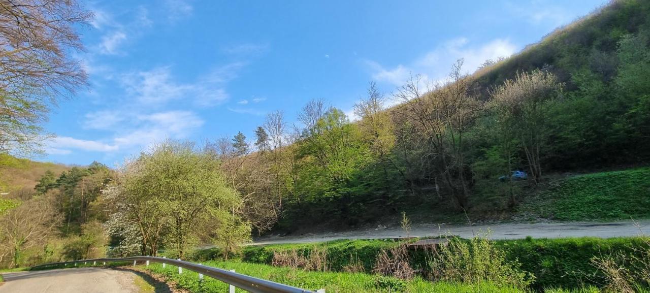 Hos-Cegledi Vendeghaz Miskolc -Oenallo Otthon, Mely Csak Az Oenoeke Esterno foto
