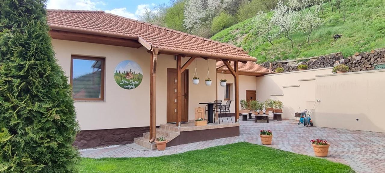 Hos-Cegledi Vendeghaz Miskolc -Oenallo Otthon, Mely Csak Az Oenoeke Esterno foto