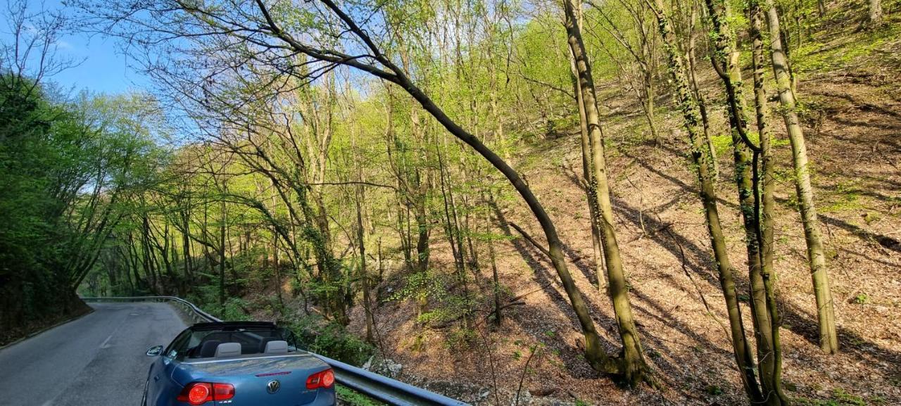 Hos-Cegledi Vendeghaz Miskolc -Oenallo Otthon, Mely Csak Az Oenoeke Esterno foto