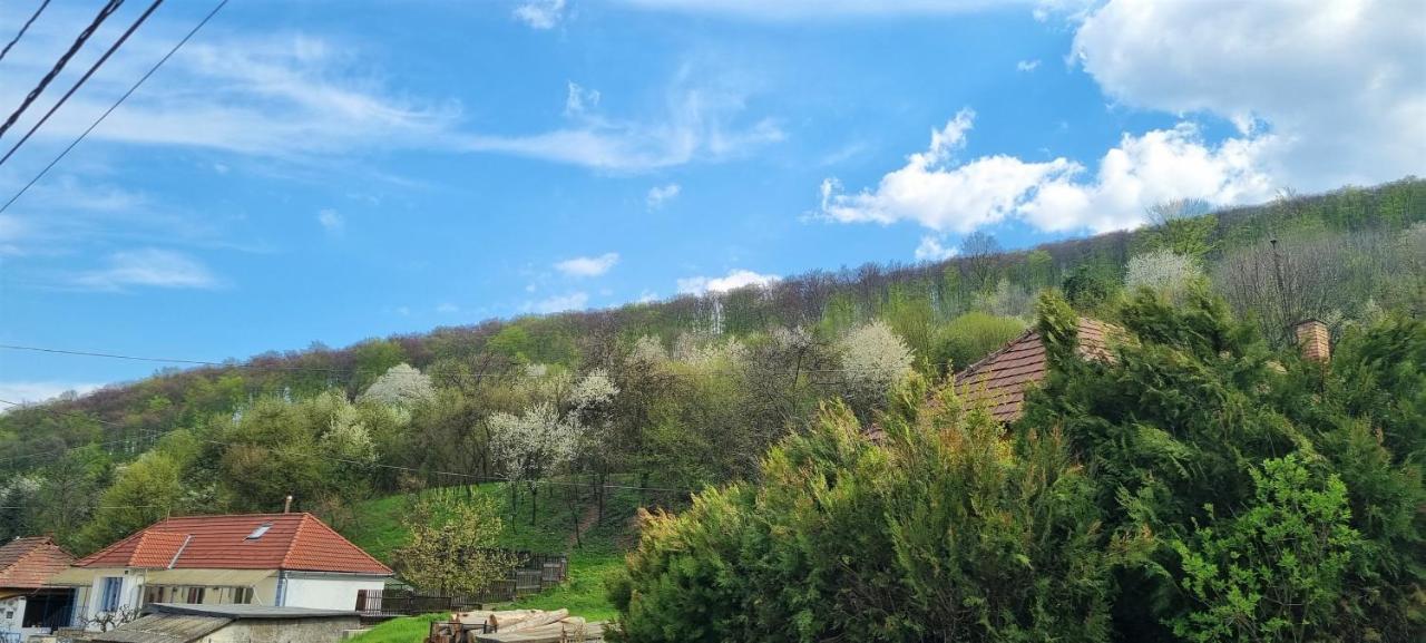 Hos-Cegledi Vendeghaz Miskolc -Oenallo Otthon, Mely Csak Az Oenoeke Esterno foto